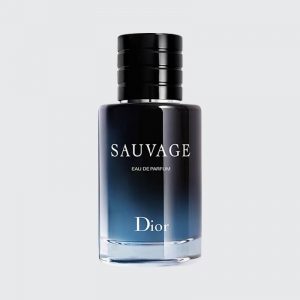 Dior Wild perfume Classic Men's eau de toilette EDP Wood Tone Lasting Fragrance 100ml