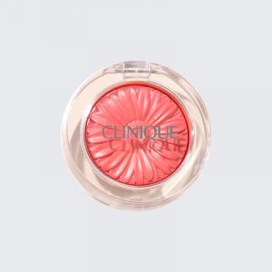 Clinique small daisy powder blusher high gloss three in one blush purple matte puff color makeup